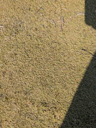 Gratis Kunstrasen - Turf - gebraucht